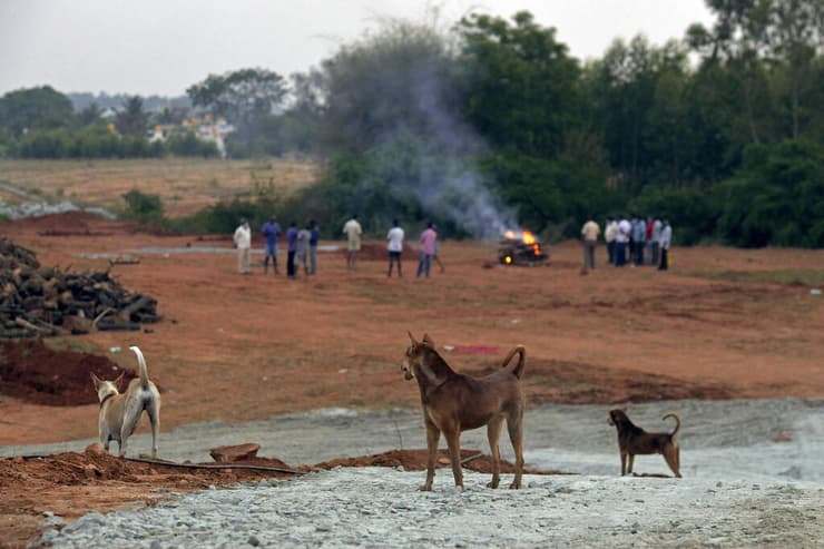 הודו משבר אסון קורונה שריפת גופות בנגלור