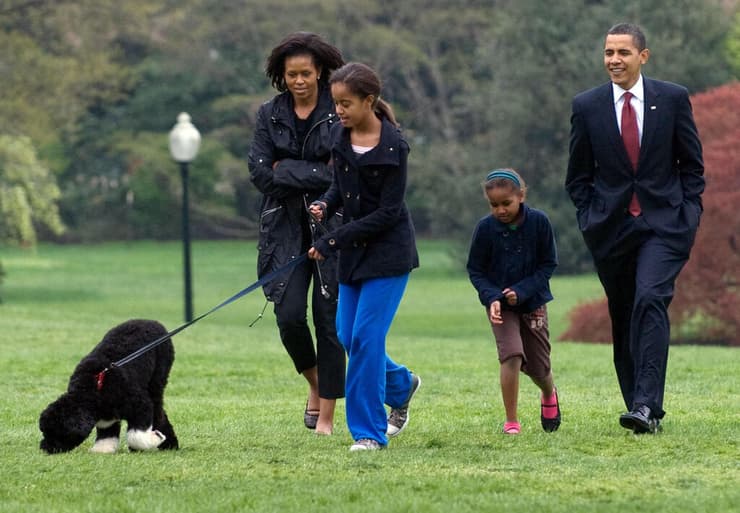 בו כלב של בני הזוג ברק ו מישל אובמה שמת תמונות ארכיון 2009 