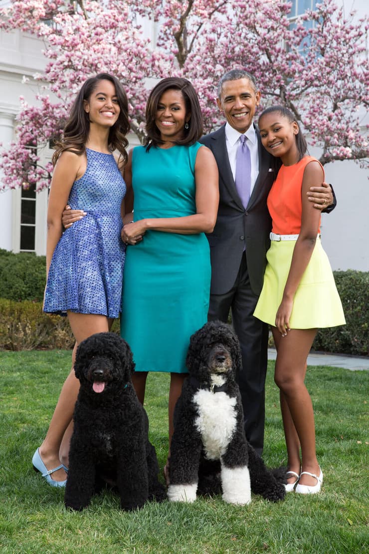 בו כלב של בני הזוג ברק ו מישל אובמה שמת תמונות ארכיון 2015