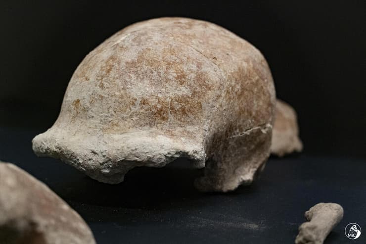 מאובנים של ניאנדרטלים התגלו במערה ליד רומא איטליה