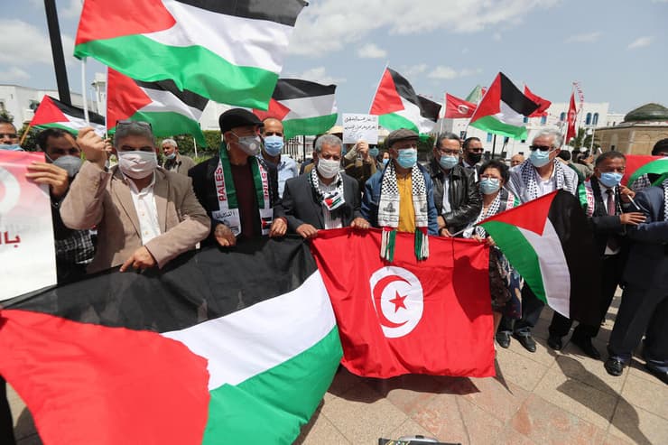הפגנה מפגינים הפגנות נגד ישראל ובעד ה פלסטינים תוניס תוניסיה