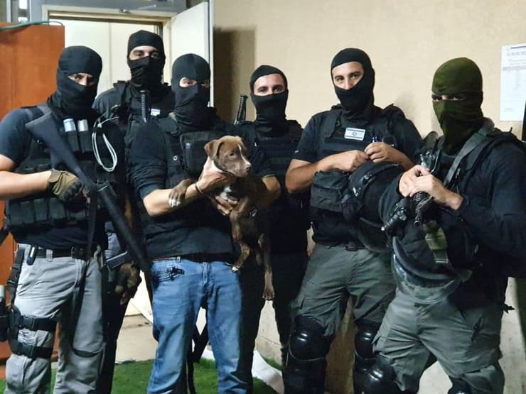 המשטרה חילצה את הכלבה מהאלימות שחוו המשפחה באום אל פחם והחזירו אותה אל בעליה