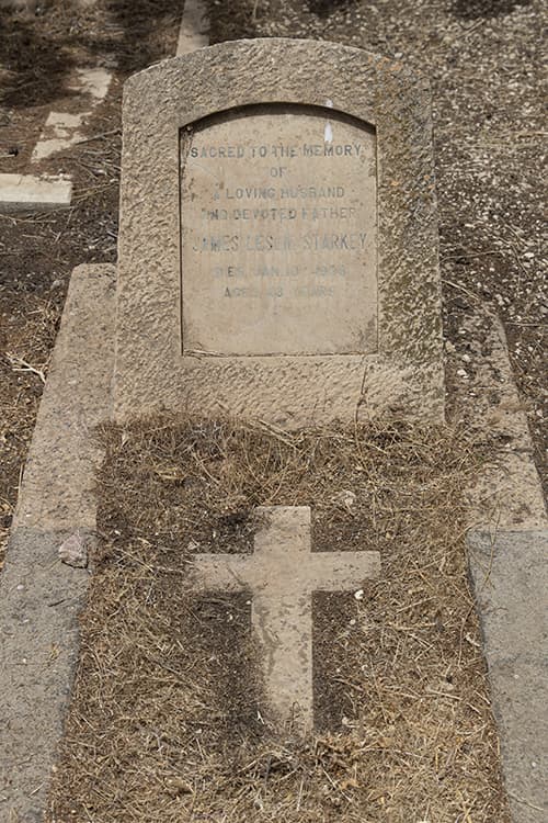 קברו של סטארקי, נרצח בדרכו לפתיחת מוזיאון רוקפלר
