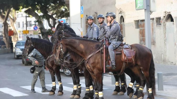 שוטרים על סוסים