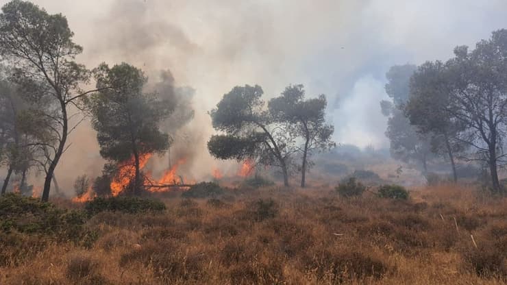 שריפה בסמוך לכפר סאלם