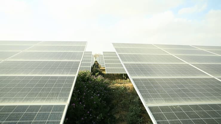 שילוב בין חקלאות לאנרגיה סולרית