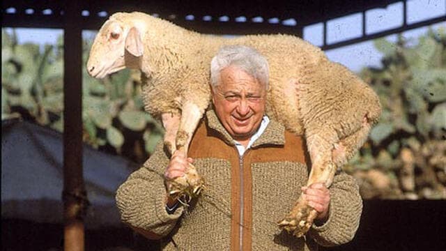 אריק אריאל שרון חוות שקמים כבשה
