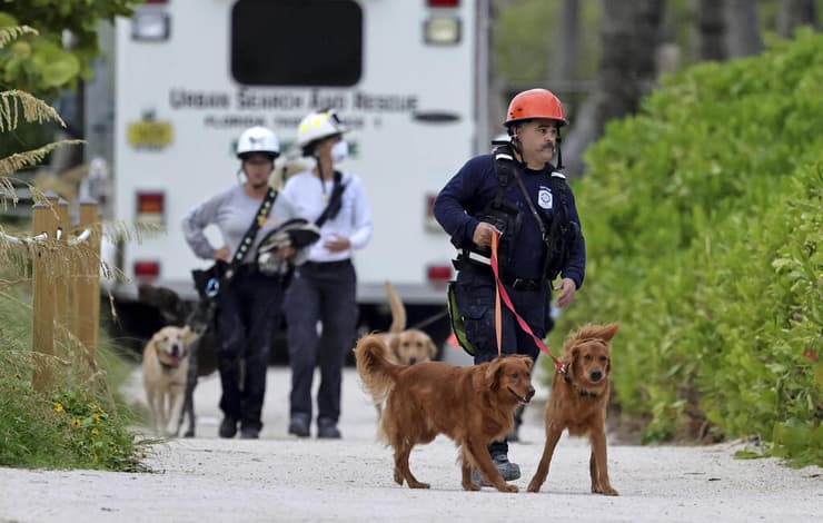 ארה"ב פלורידה סרפסייד קריסת בניין ליד מיאמי כלבים מסייעים בחיפושים