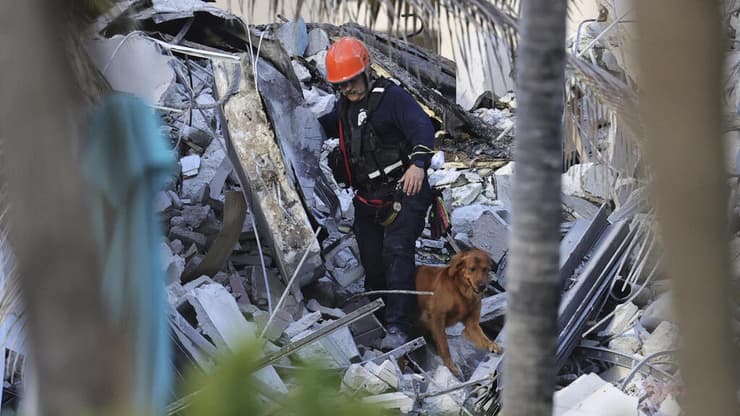 ארה"ב פלורידה סרפסייד קריסת בניין ליד מיאמי כלבים מסייעים בחיפושים