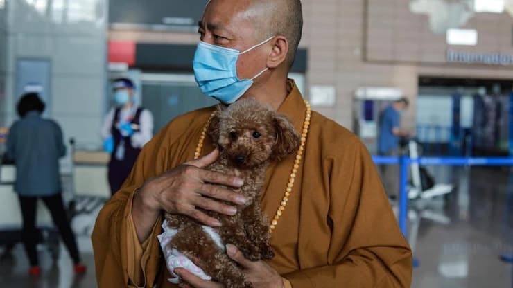 הנזיר ואחד הכלבים