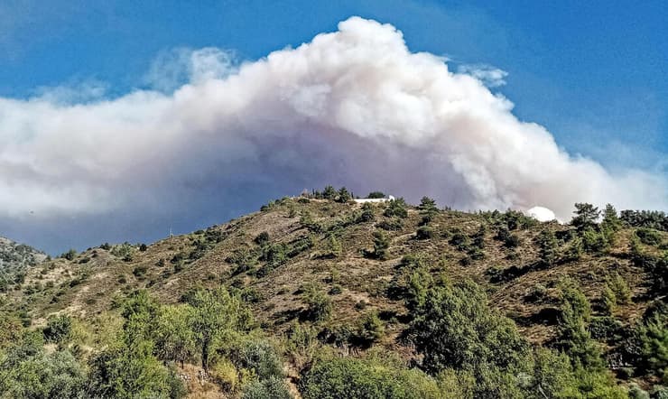 שריפה שריפת יער ב קפריסין