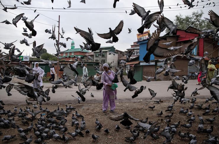 צלם זוכה פוליצר דניש סידיקי נהרג ב אפגניסטן כאן זו תמונה שלו מסרינגר הודו 2019