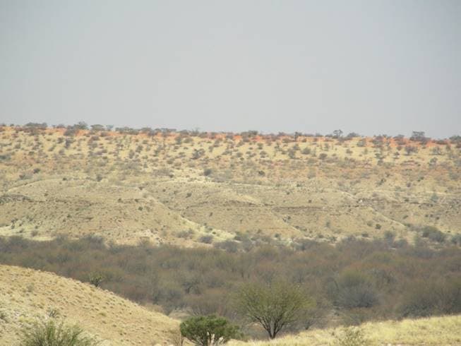 משקעי חול במדבר הקלהרי שבנמיביה. מטרת המחקר הייתה לתארך את הופעתם הראשונית בנוף כדי להבין את התזמון של תהליכי יצירת המדבר