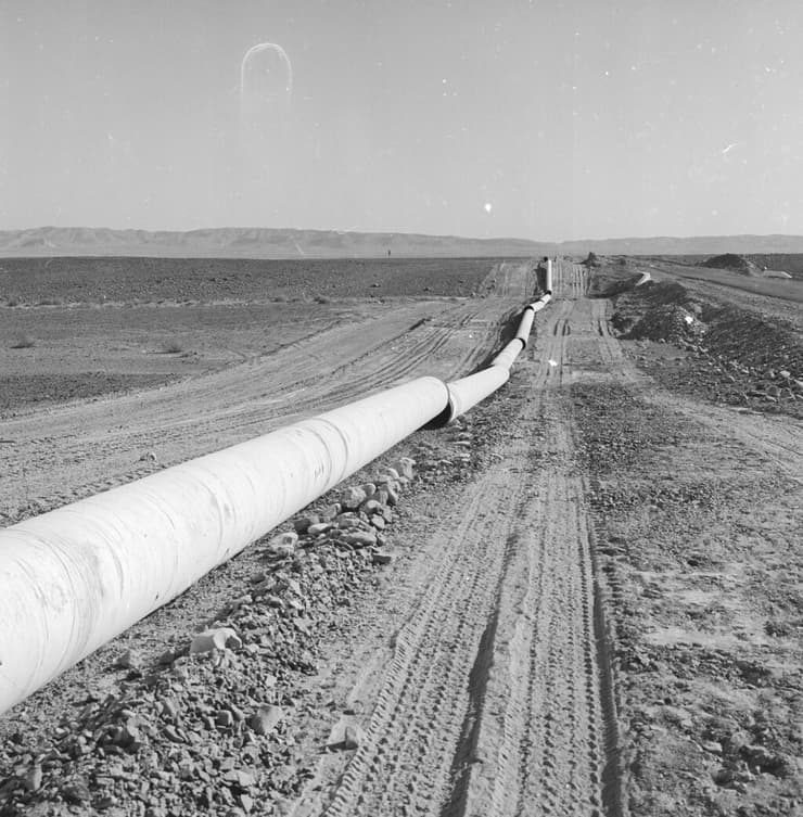 צינור הנפט ב-1959
