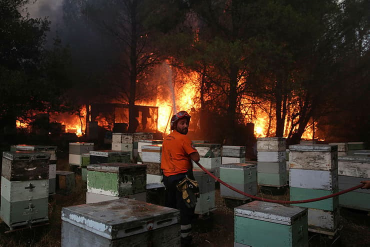 שריפה בפרברי אתונה יוון
