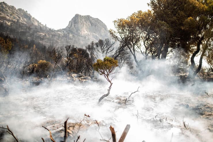 יוון שריפה שריפות יער בפרברי אתונה