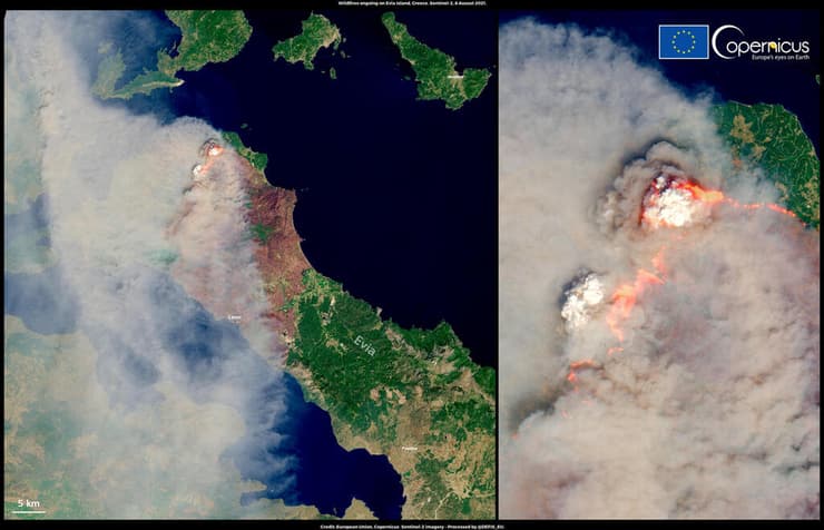 יוון שריפה שריפות יער האי אביה