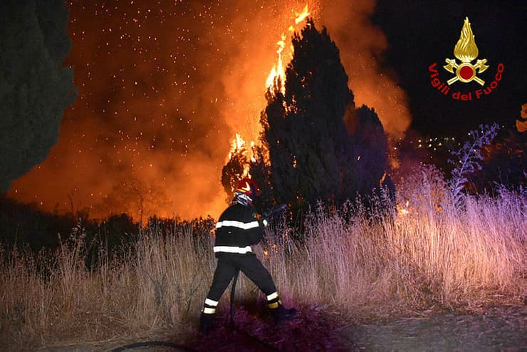 שריפה שריפות יער ליד פלרמו סיציליה איטליה