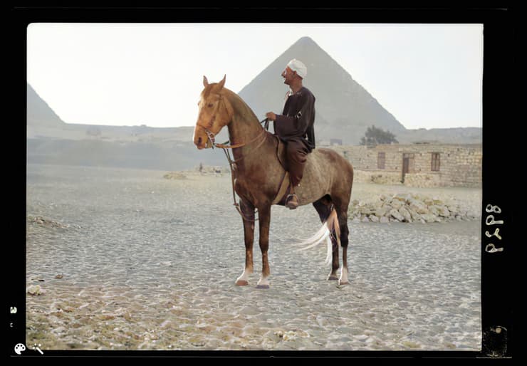 אדם רוכב על סוס ברקע הפירמידות בגיזה, צולם בין 1934 ל-1936