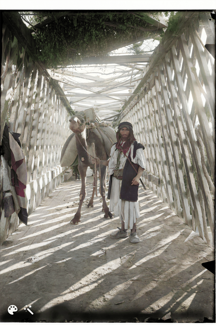 אדם עובר בגשר אלנבי עם גמל, אמצע שנות ה-20