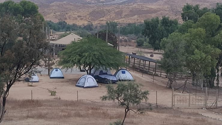 אוהלים בחוות אל היען