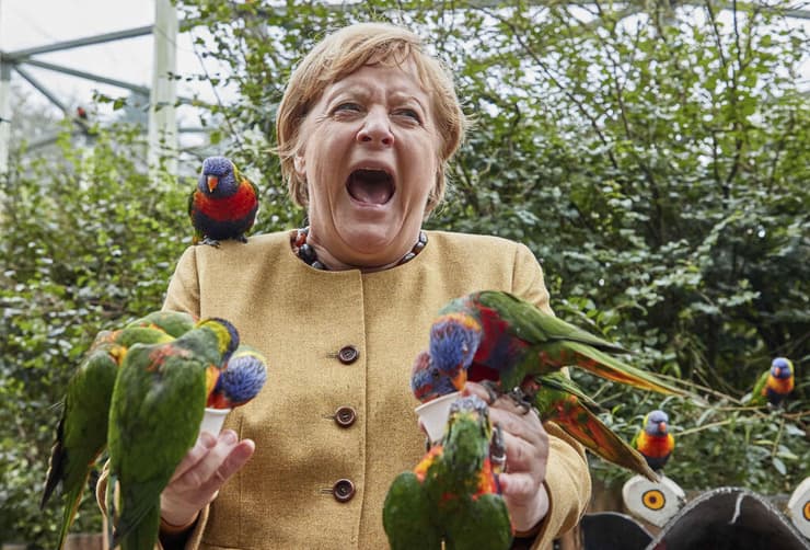 קנצלרית גרמניה אנגלה מרקל פארק ציפורים עם תוכים יומיים לפני הבחירות שבהן ייבחר מחליפה