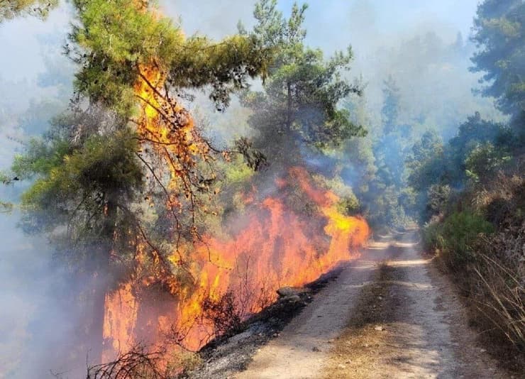 חודשה האש בהרי ירושלים באיזור עין קובי