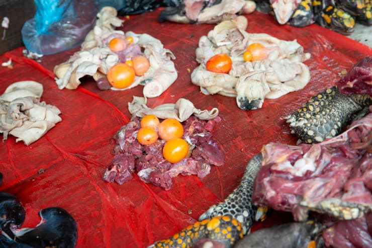 חלקי בעלי חיים נמכרים בשוק בלן שבפרו