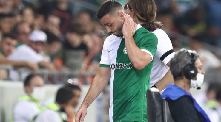 נטע לביא (רדאד ג'בארה) נטע לביא