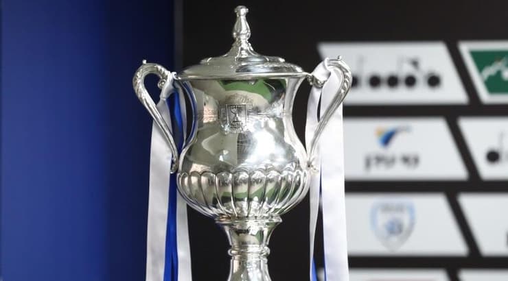 גביע המדינה