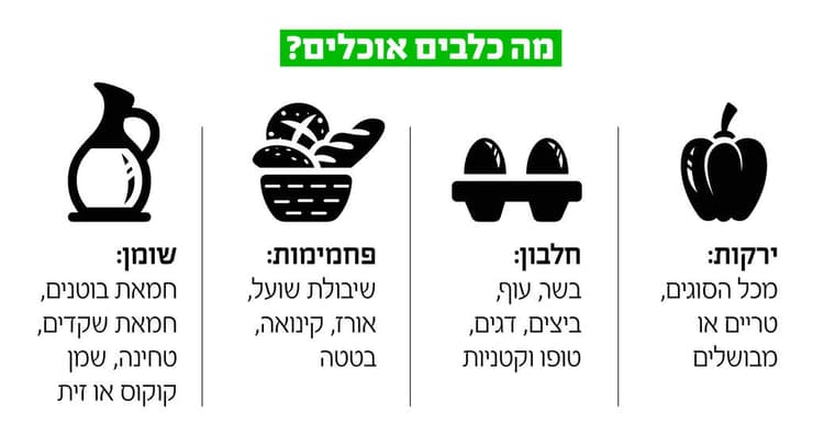 אינפו תזונה בריאה כלבים חיות מחמד 