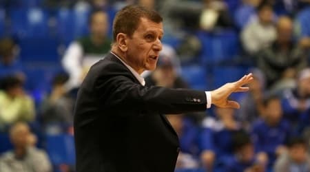 מולי קצורין (רדאד ג'בארה) מולי קצורין