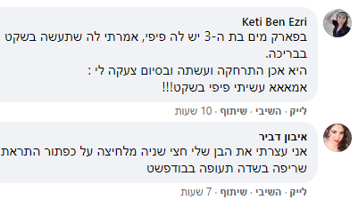 תגובות לפוסט