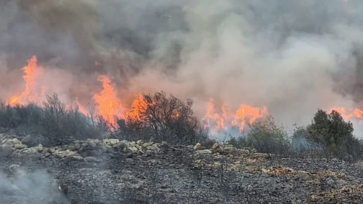 איזור השריפה בואדי מאג'נונה