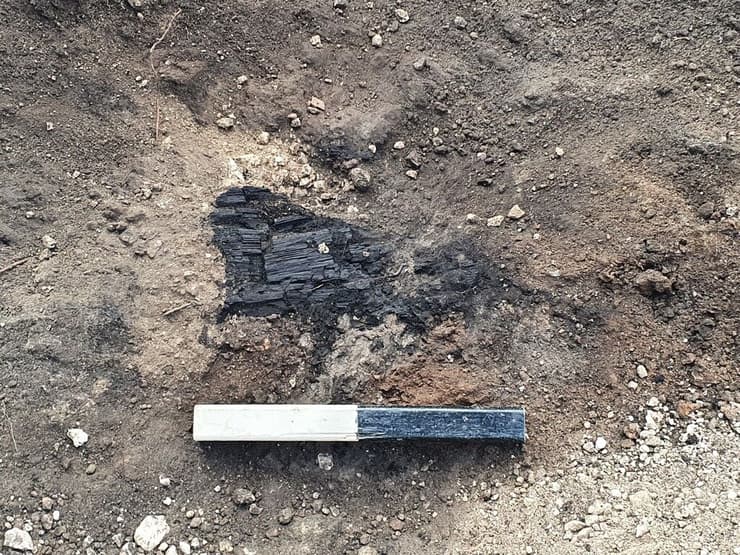 שרידי קורת עץ מפויחת – עדות לשריפת האתר
