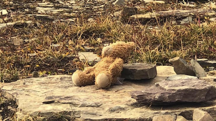 טדי הדב שאבד בפארק לאומי במונטנה