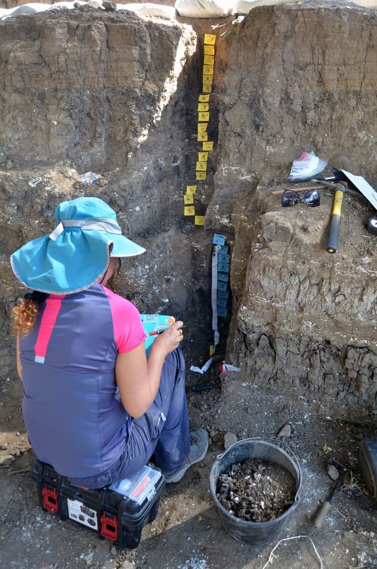 ד"ר דפנה לנגוט אוספת דגימות סדימנט מהחפירה במדרגות הירדן לצורך בדיקה מיקרוסקופית של שרידי צמחים