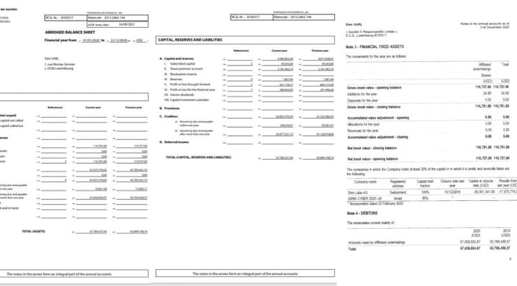 מסמכי החברה שנחקרת (צילום מסך) מסמכי החברה שנחקרת