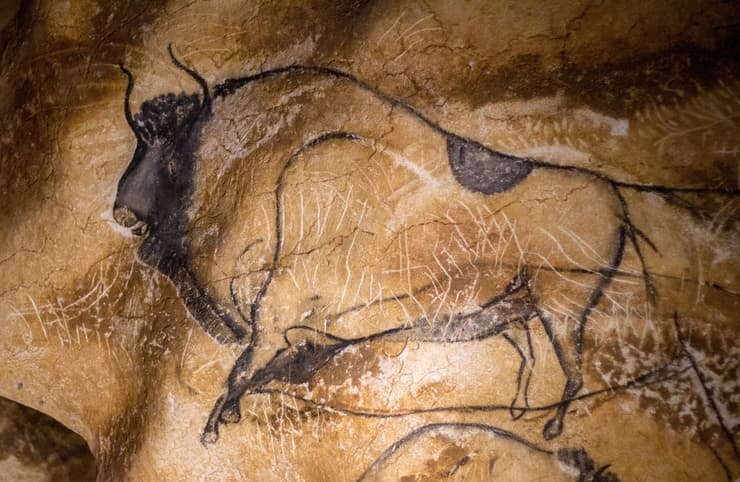 ציור שהתגלה במערת שובה בצרפת