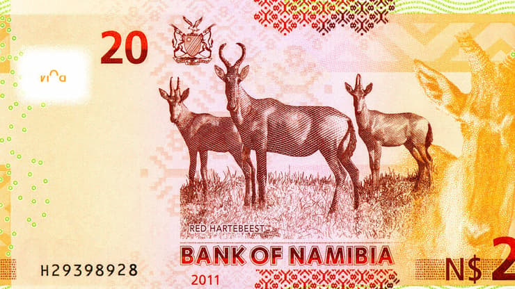דולר נמיביה