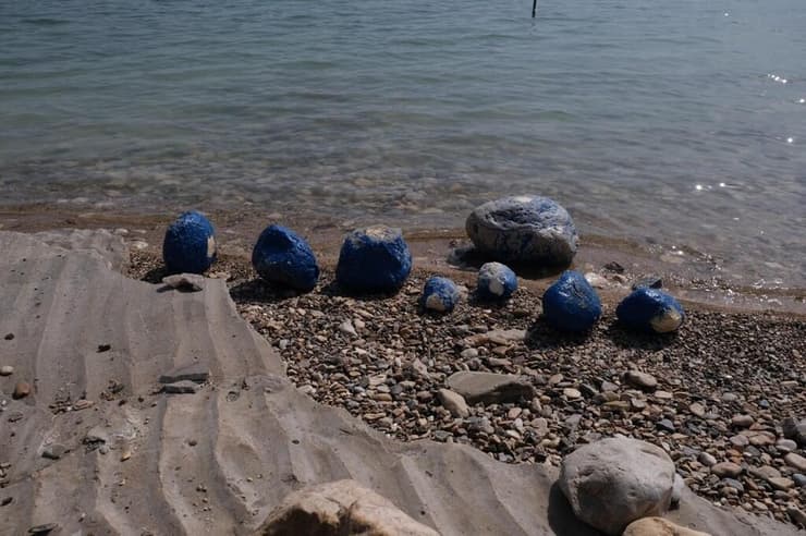 אבנים מסומנות בחוף