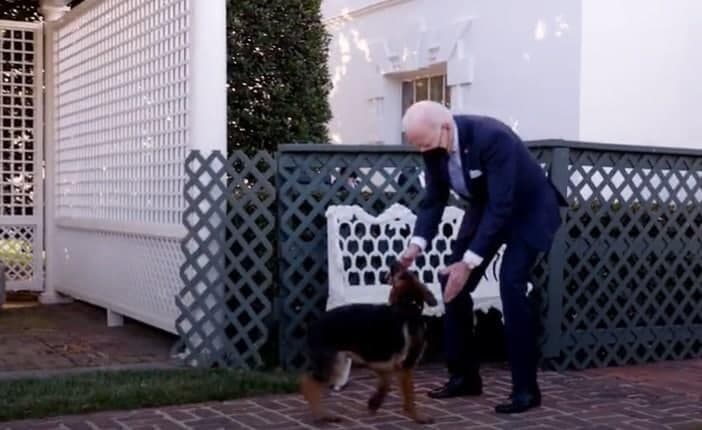 נשיא ארה"ב ג'ו ביידן כלב חדש קומנדר הבית הלבן