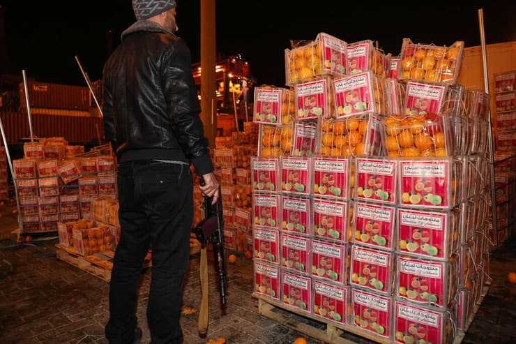 לבנון נמל ביירות משלוח סמים מוחבא ב תפוזים