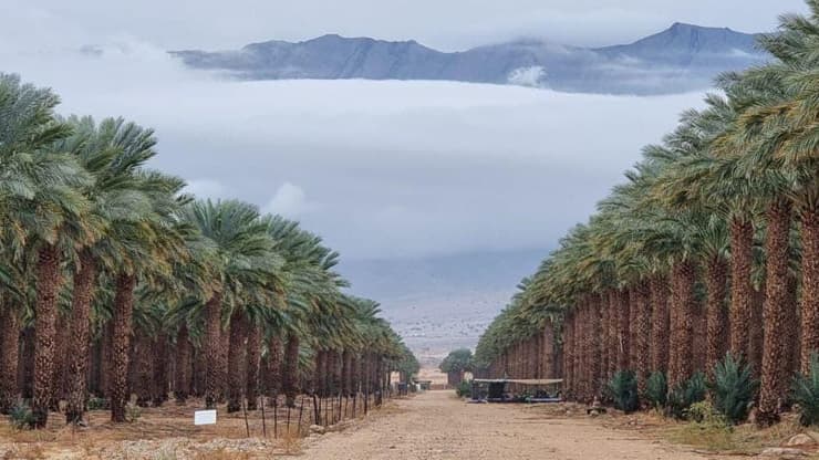 ערבה הדרומית מזג אוויר דרום