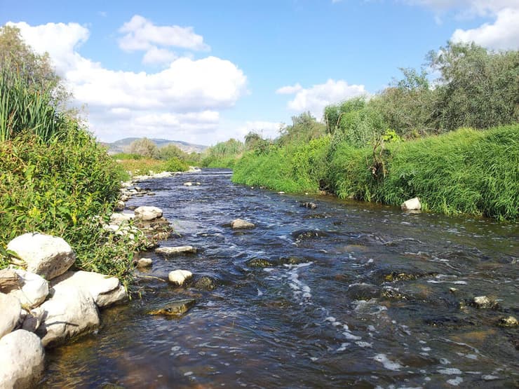 נחל שורק (צילום: דב גרינבלט, החברה להגנת הטבע) נחל שורק