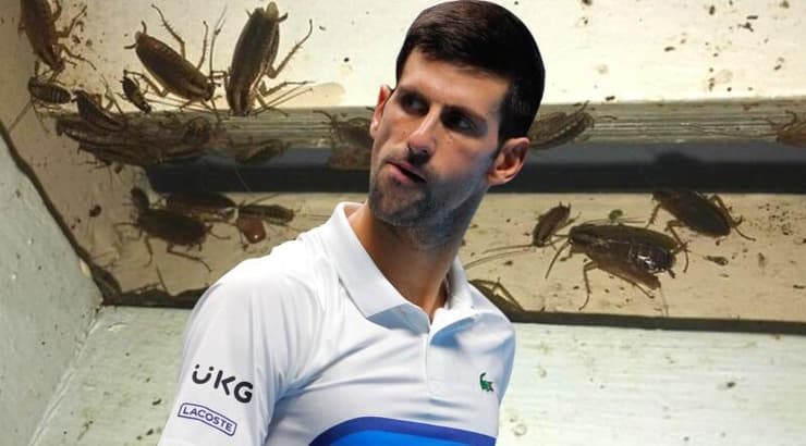 נובאק ג'וקוביץ' (רויטרס) נובאק ג'וקוביץ'