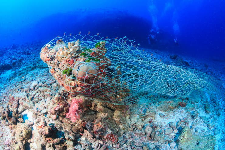 רשת דייגים שפגעה באלמוגים