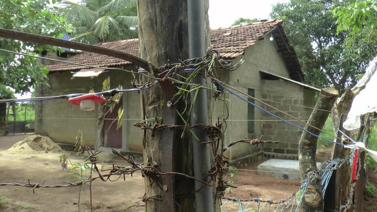 גדרות חשמליות מאולתרות בכפרים