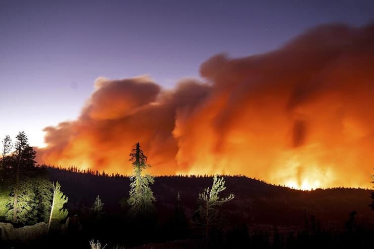 שריפה של חורש כתוצאה ממשבר האקלים
