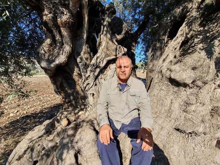 סוהיל זידאן, פקיד היערות הראשי של קק"ל ובר סמכא מקצועי ברמה הלאומית